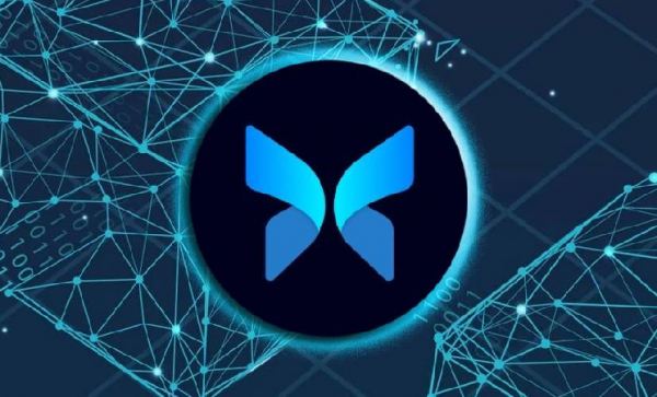 Morpho получил $4,2 млн доходов от комиссий